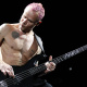 Modulus Guitars