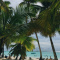 Saona Island