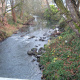Pringle Creek