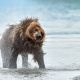 Kamchatka