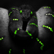 Emerald tree python