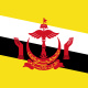 Flag of Brunei