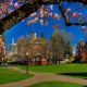 Willamette University
