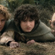 Samwise Gamgee
