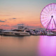 Capital Wheel