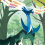Xerneas