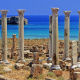 Apollonia