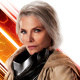 Wasp