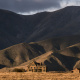 Burbank Ranch