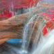 Cano Cristales