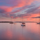 Newport Harbor