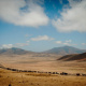 Maasai
