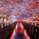 Meguro River
