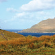 Cape Horn