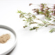 Thyme (Herb)