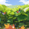 Fletchling