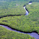 Rio Orinoco