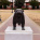 Mississippi State Bulldogs