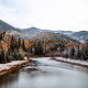 Flathead River