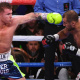 Sergey Kovalev