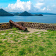 Fort Rodney