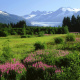 Mendenhall Glacier