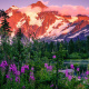 Mount Shuksan