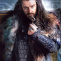 The Hobbit