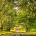 Kingston Lacy Beech Avenue