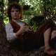 The Shire