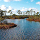 Soomaa National Park