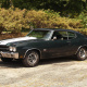 Muscle Car