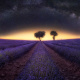 Milky Way