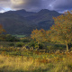 Snowdonia