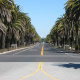 Palm Drive