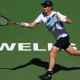 Indian Wells Masters