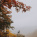 Hawksbill Crag