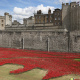 Blood Swept Lands and Seas of Red