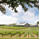 Grape Creek Vineyards