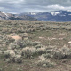 Lamar Valley