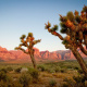Red Rock Canyon