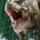 Tyrannosaurus rex