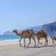 Al Mughsail Beach