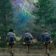 Southern Reach