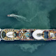 Royal Caribbean