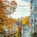 Lichtenstein Castle