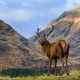 Scottish Highlands