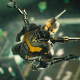 Ant-Man (film)