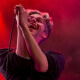 Groovin the Moo