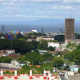 Arboles de la Vida